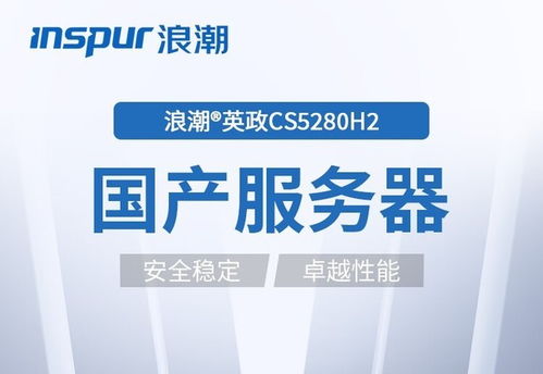 国产信创新选择 浪潮CS5280H2定制型服务器深度解析与网络技术服务价值
